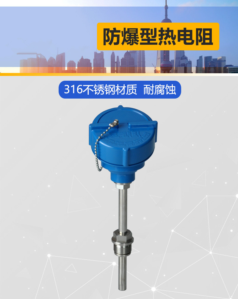 High precision explosion-proof thermoelectric couple temperature probe armored platinum thermistor explosion-proof PT100 temperature sensor