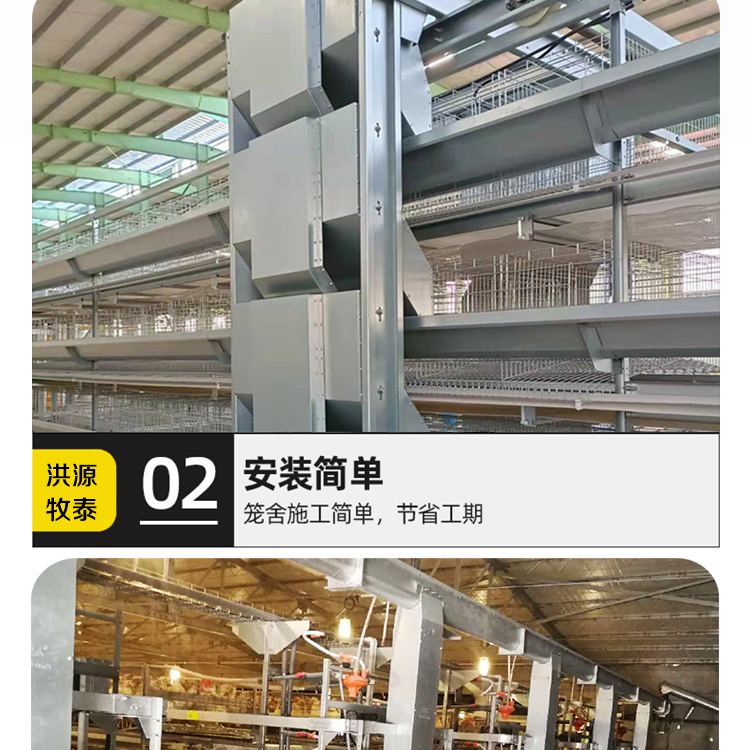 Net raised broiler equipment Xinxiang chicken farm equipment Xinxiang chicken farm equipment How many days does the egg chicken farm produce egg laying chickens Meat chicken farm equipment City chicken farm