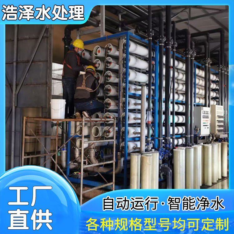 Manufacturers sell 0.25-100 tons of reverse osmosis pure water equipment for microbial removal and sterilization