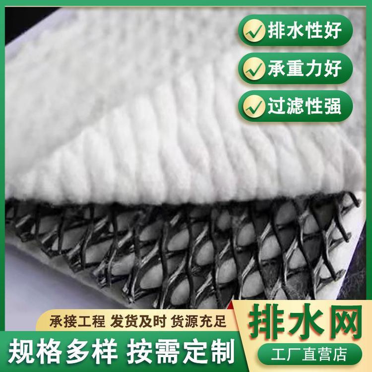 Dongchen Composite Drainage Network Foundation Slope Double Ribbed Permeable Network High Density Polyethylene Inverted Filter Municipal 3D Network