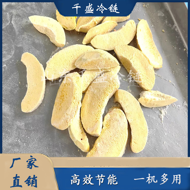 Yellow Peach Crisp Freeze Drier Fruit and Vegetable Vacuum Freeze Drier Fruit Freeze Drier Qiansheng Cold Chain