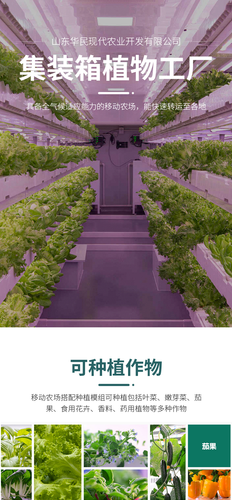 Customized multi-layer hydroponic planting system for intelligent planting of vegetables on balconies of plant factory equipment