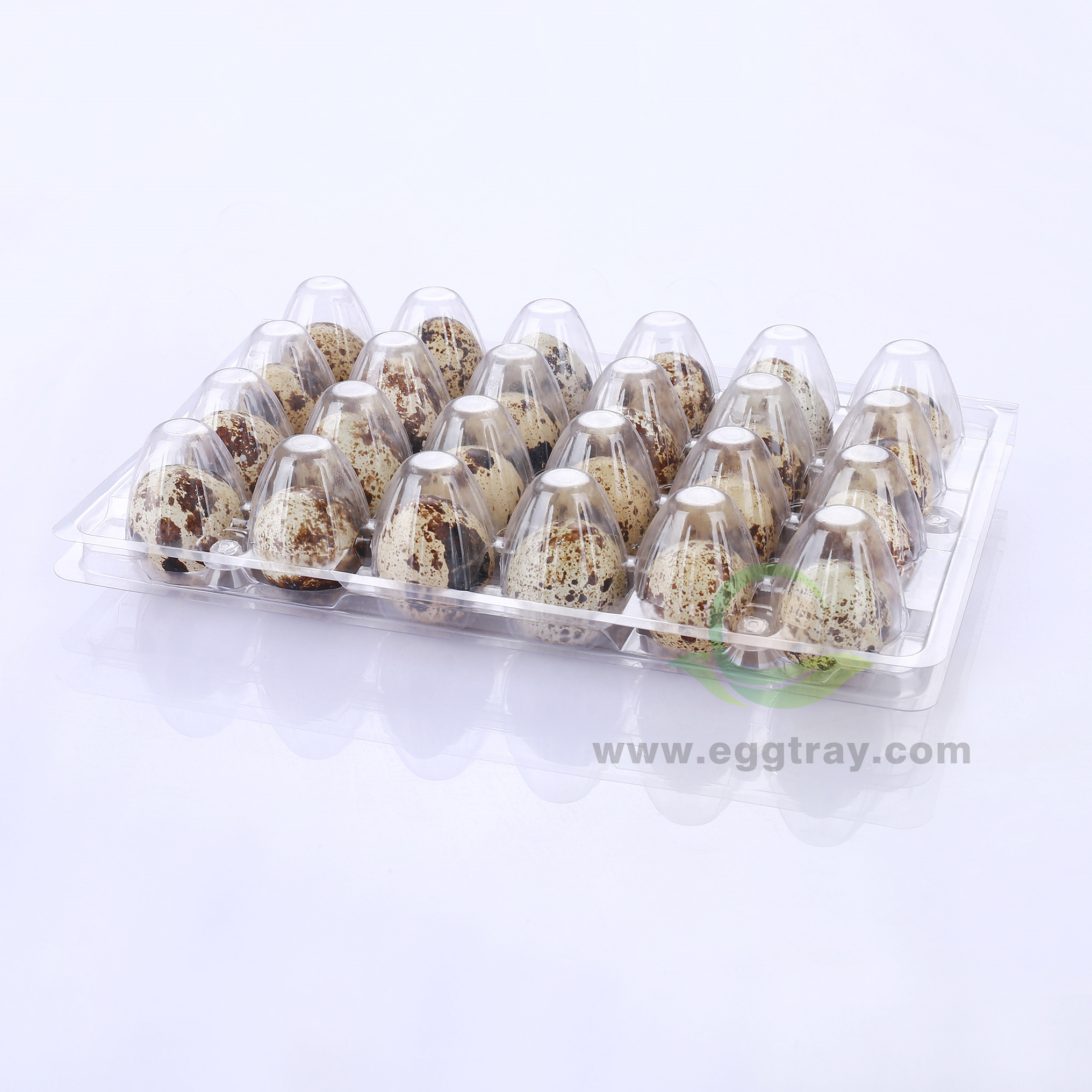 One time plastic Quail eggs tray 24 transparent shockproof thickened packaging boxes Quail eggs trays factory direct wholesale