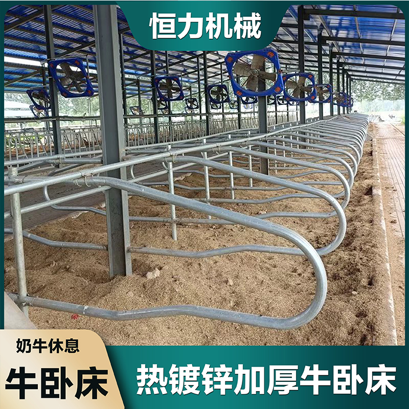 Hengli Brand Cattle Raising Equipment - Cattle Beds for Cows - Cattle Beds for Cows - Corrosion-resistant, Comfortable, Rustproof, and Galvanized Pipes