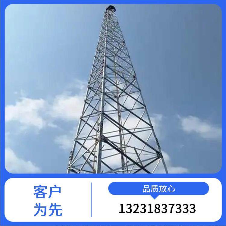 监控避雷塔 结构稳固抗风性强 防雷 卓大 不易老化性能稳定