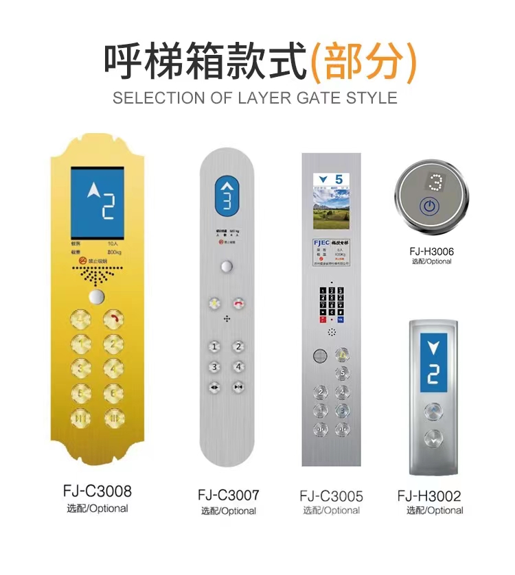 Longyu Customized Home Hydraulic Elevator Villa Sightseeing Elevator Penthouse Elevator