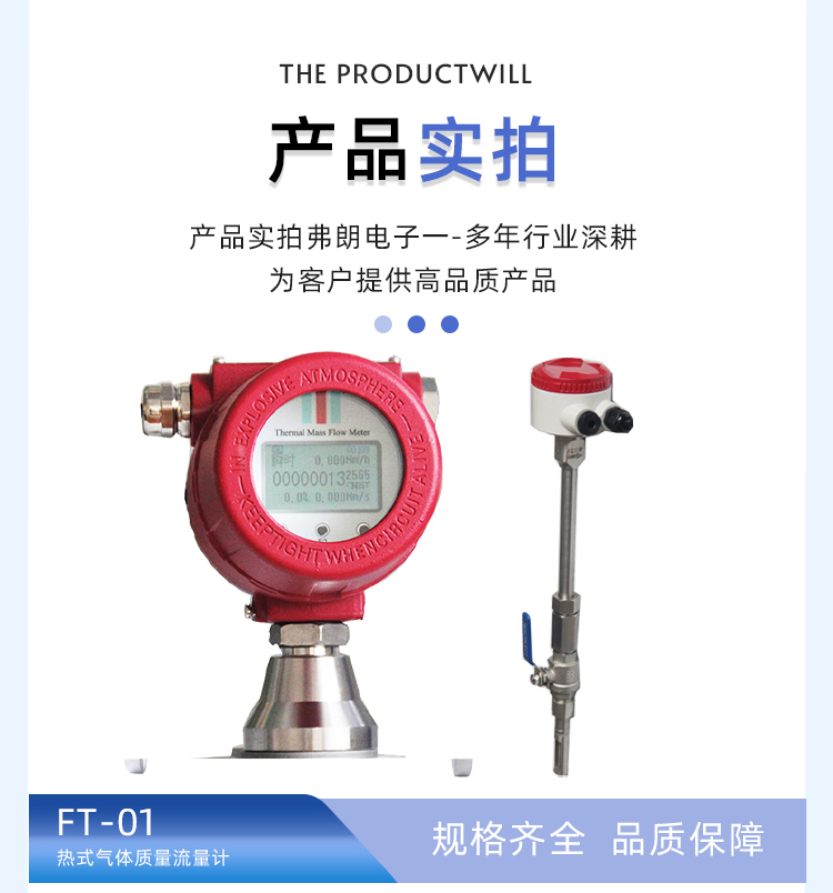 Thermal Gas Mass Flowmeter FT-01 Pipeline Insertion Compression Meter