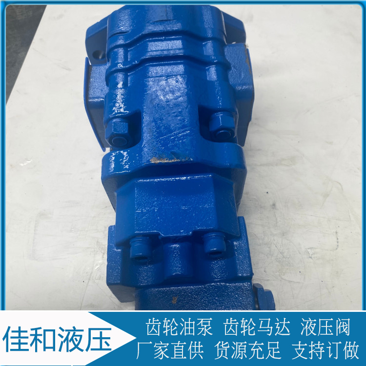 Xuangong 2100-0010 Gear Pump Hydraulic Pump Easy to Maintain and Use Jiahe Hydraulic