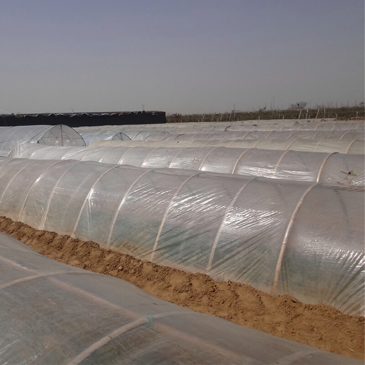 Shuaifeng Agricultural Greenhouse Film Polyethylene (PE) Greenhouse Film Vegetable Film Greenhouse Manufacturer Wholesale Customization