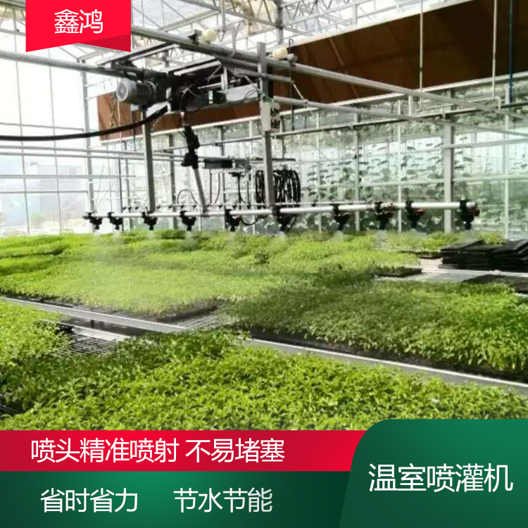 Remote control hanging seedling watering cart for agricultural greenhouse sprinkler irrigation system