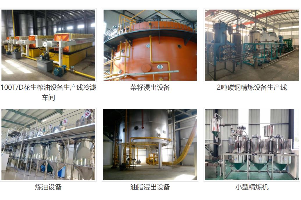 Fully automatic edible oil extraction equipment, medium-sized peanut vegetable oil extraction machine, easy to operate