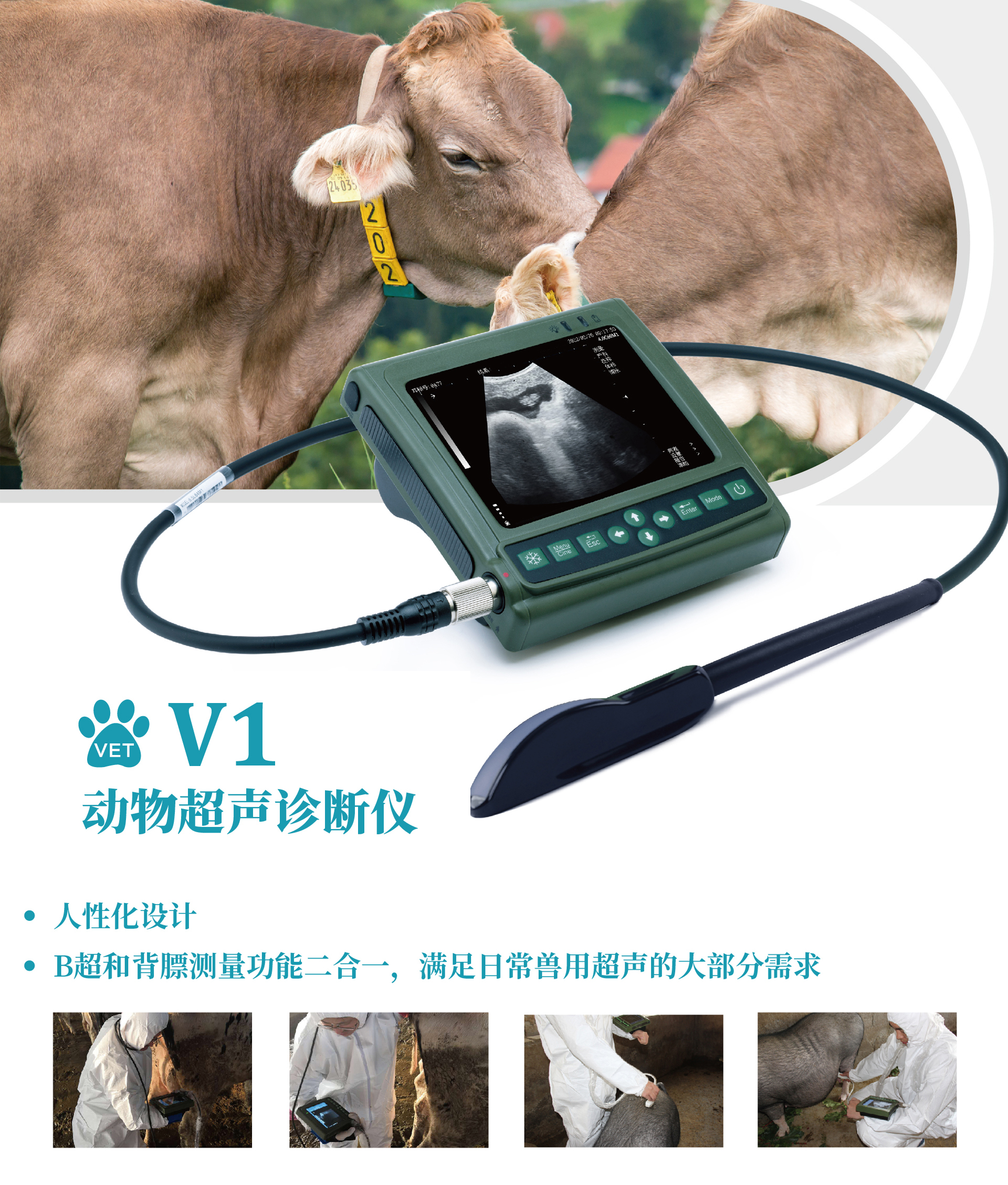 Kaixin V1 Donkey and Camel Big Animal Strap B-ultrasound Portable Ultrasound Manufacturer