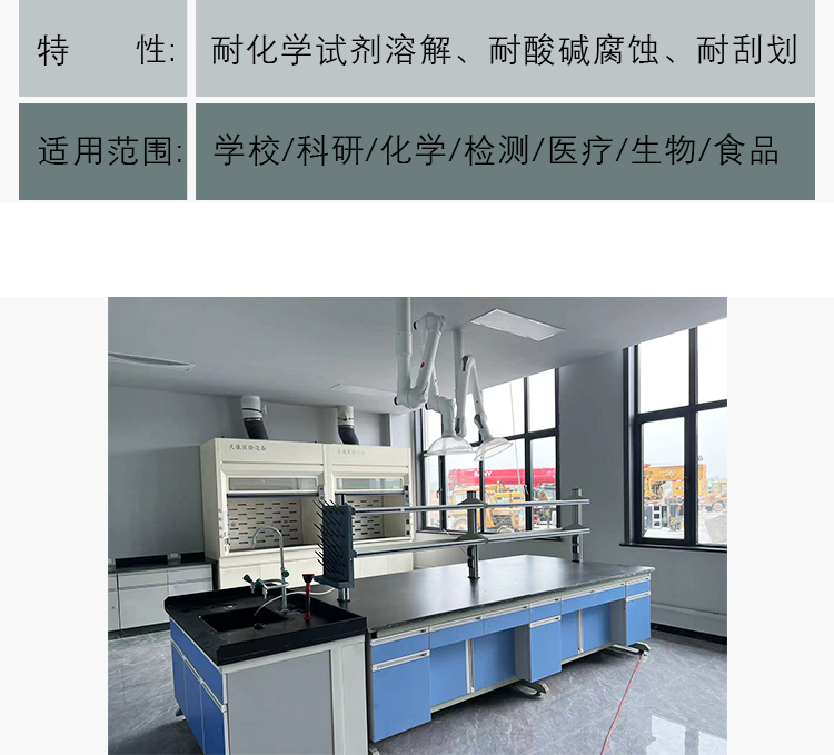 Fume hood laboratory furniture laboratory ventilation and exhaust construction anti-corrosion industry