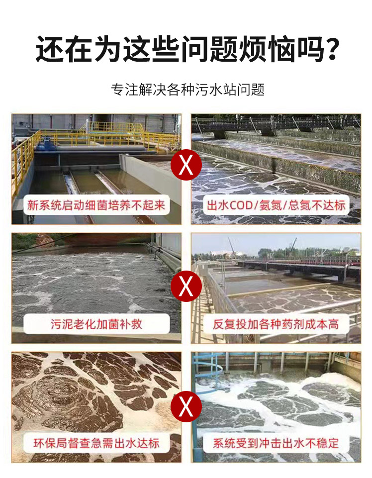 Debugging of integrated equipment for sewage treatment bacterial strains, rapid biofilm formation with bacterial fillers, and water quality purification