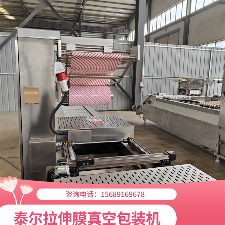 Fully automatic TR-420 continuous stretching film vacuum sealing machine Automatic food vacuum packaging machine