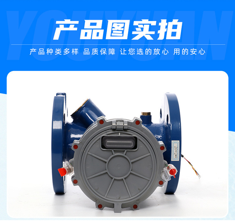 Yuxin Ductile Iron Ultrasonic Large Bore Cold Water Meter DN100 Flange Remote Transmission One Meter Multi Canon Irrigation Meter