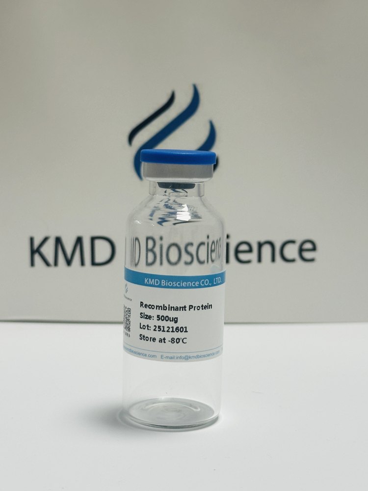 程序性死亡分子/Programmed cell death protein 1蛋白 免疫检查