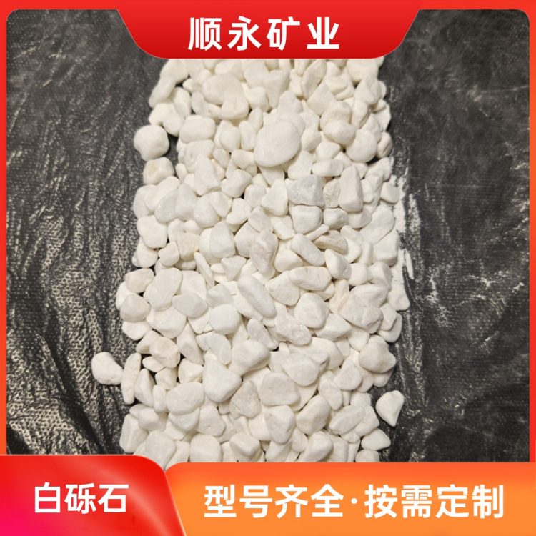 白色石米石头 12-15毫米 别墅绿化铺路造景 专车发货
