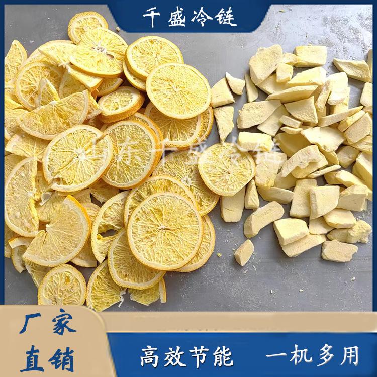 Yellow Peach Crisp Freeze Drier Fruit and Vegetable Vacuum Freeze Drier Fruit Freeze Drier Qiansheng Cold Chain