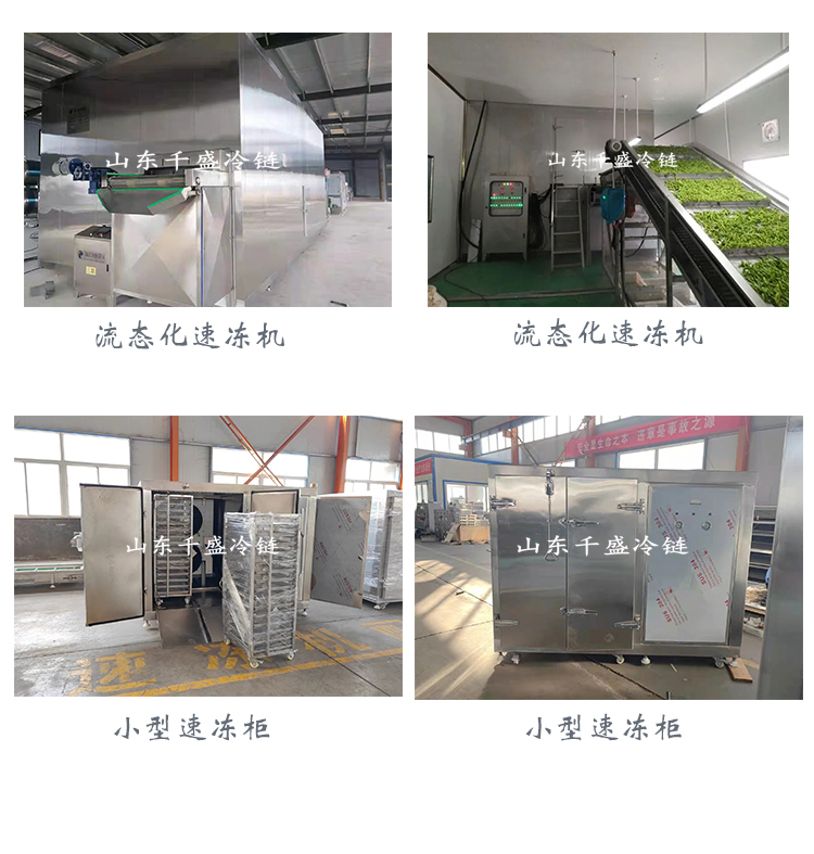 Mushroom quick freezing equipment cleaning and quick freezing assembly line fluidization quick freezing machine tunnel type single freezing machine Qiansheng