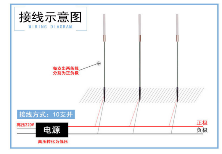 LED round ball reed light, low-voltage outdoor waterproof park lawn decoration, ground plug light, warm light