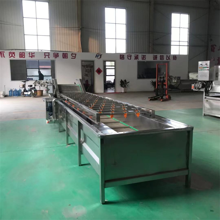 Large chestnut cleaning machine, bamboo shoot cleaning and desalination equipment, vegetable desalination machine HY-85