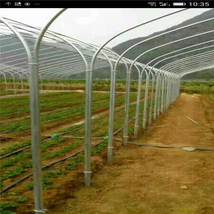 湖北黄冈麻城连栋大棚配件名称蔬菜大棚管橘子连体大棚市场报价