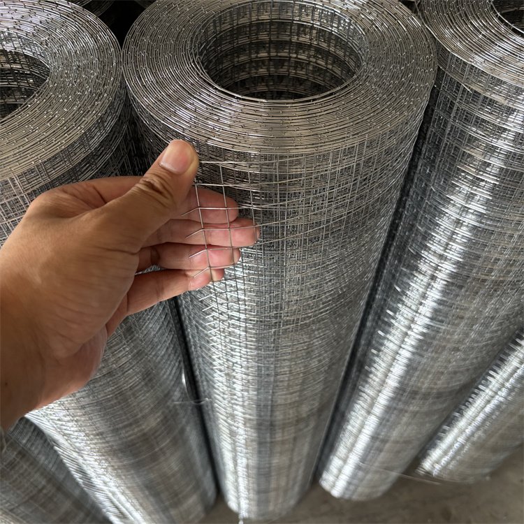 改拔丝电焊网 生产厂家 镀锌钢丝网 防护能力强 双娇丝网