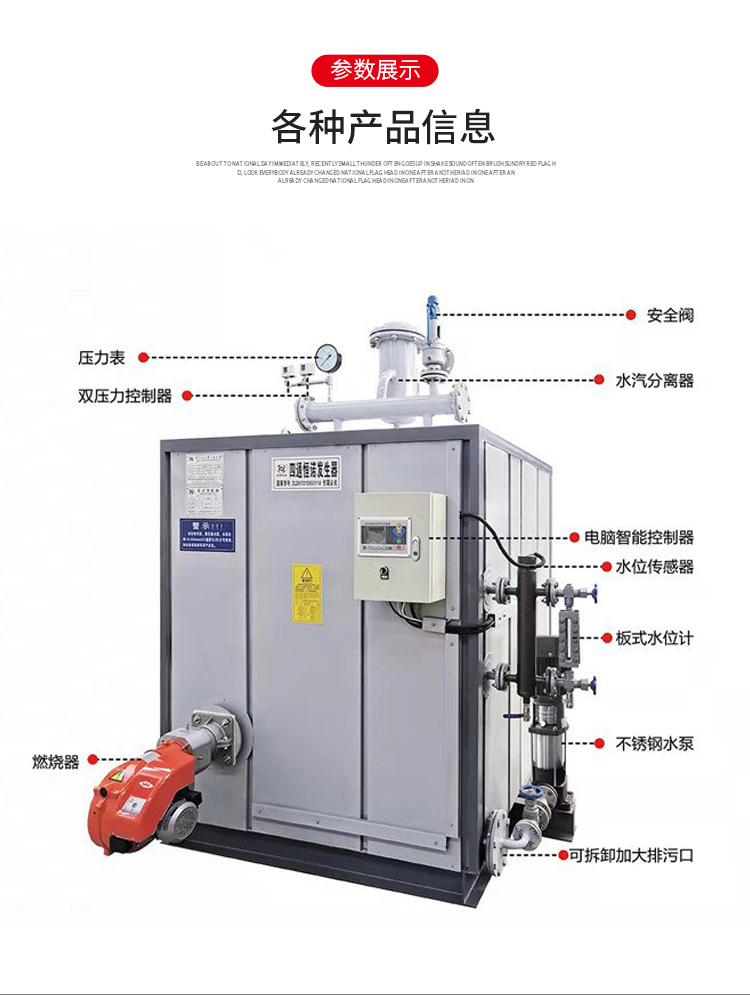 FTSG2-0.7-YQ Fuel Gas Steam Generator Fully Automatic Laundry Clothing Factory Multi function Steam engine