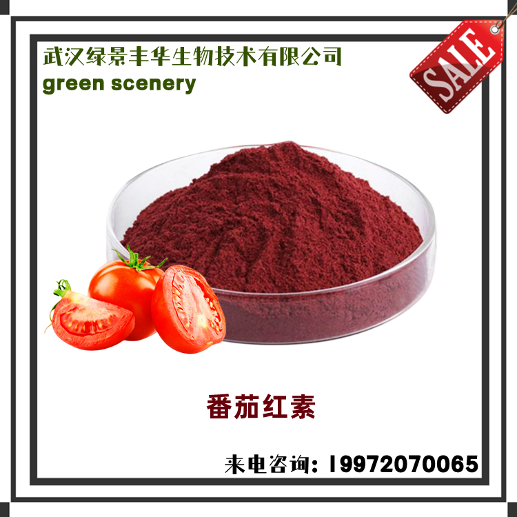 Lycopene 10% Red Tomato Extract Water Soluble 13739-02-1 Lycopene Powder