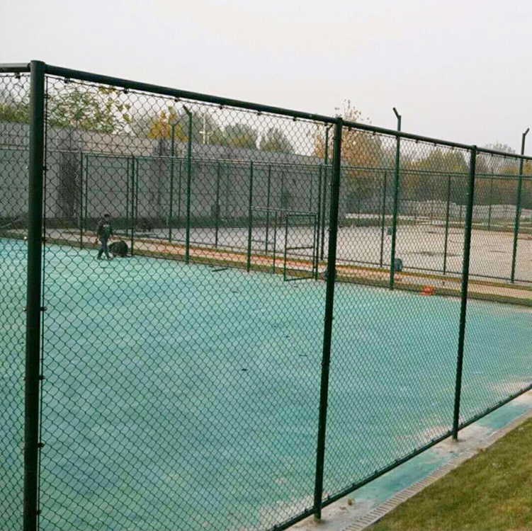 Tailong Tennis Stadium Fence Net Breeding Hook Flower Protective Net Expressway Fence Net