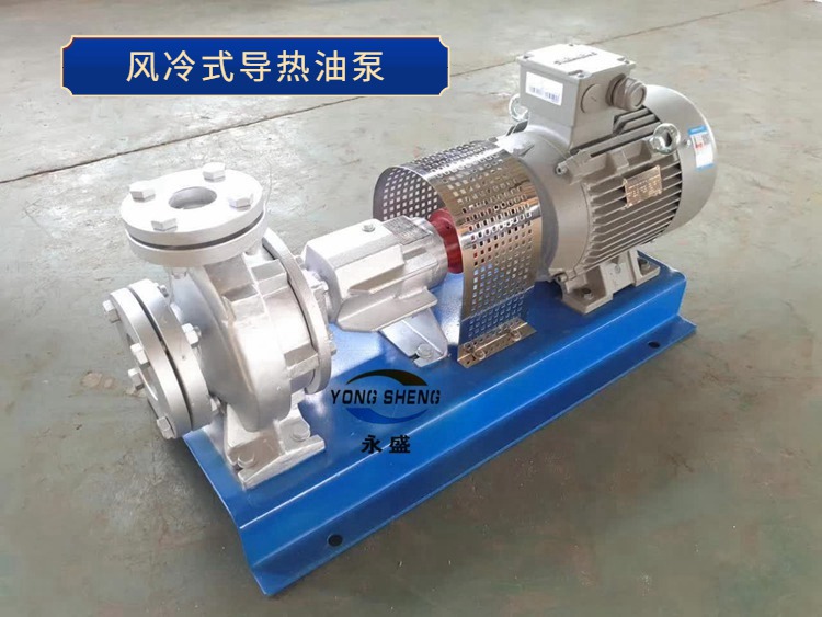 Manufacturer RY high-temperature heat transfer oil pump air-cooled centrifugal heat oil pump heat circulation pump LRY vertical heat transfer oil