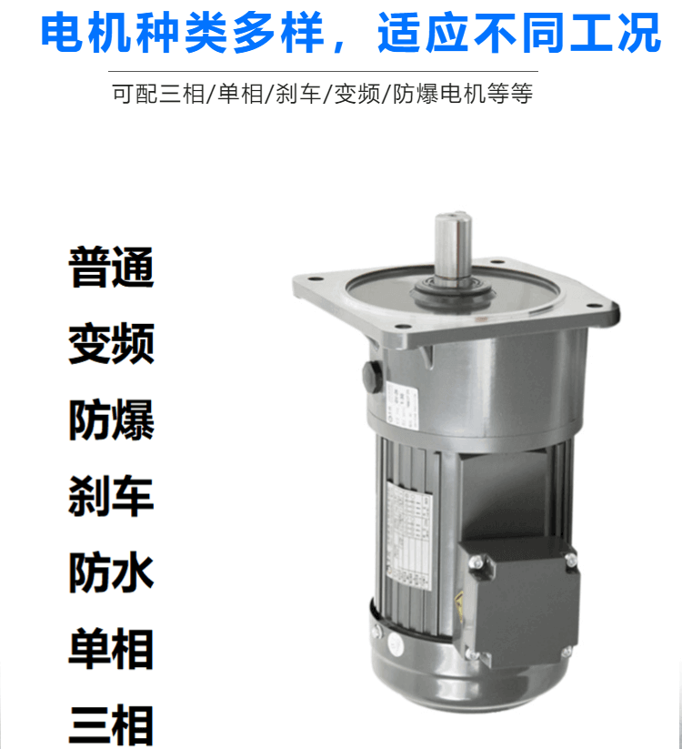 Shiyuan reduction motor 750W double output shaft GHD28-750-25 horizontal reducer