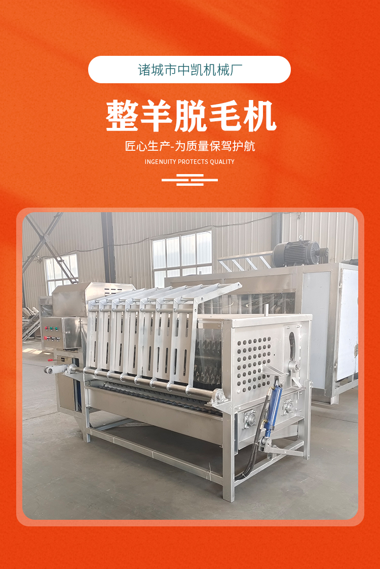 Fully automatic whole sheep hair removal machine, stainless steel sheep hair scraping machine, goat and sheep hair removal machine