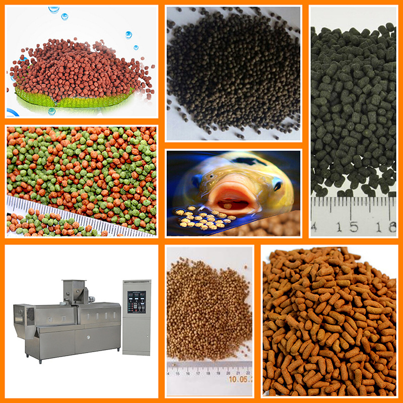 Small and medium-sized fish feed processing equipment Double screw extruder Floating fish feed production line