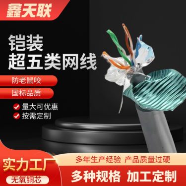铠装超五类屏蔽网线,产品介绍