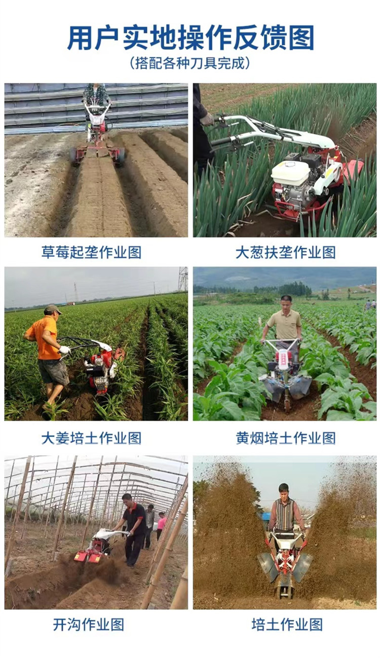 Ginger Planting Trencher ZC-190 Agricultural Gasoline Field Management Micro Tiller Greenhouse Orchard Trencher