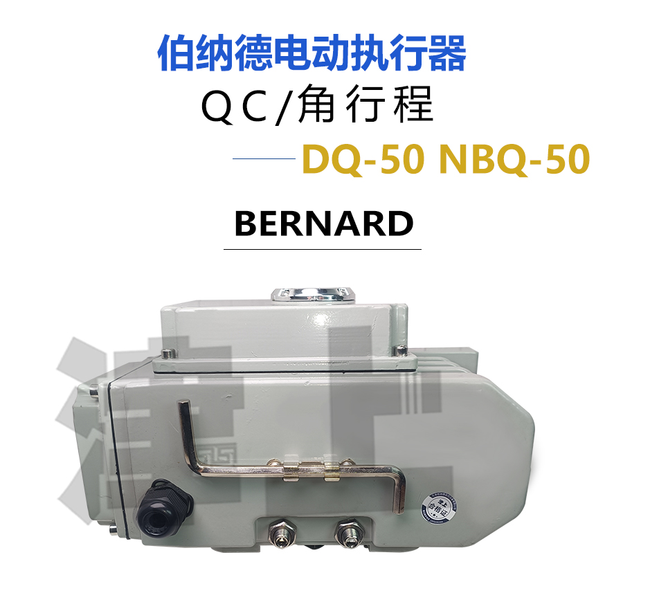 DQ-50 NBQ-50 Jinshang Bernard Building Automation Aluminum Alloy Electric actuator Precision Small Switch Type