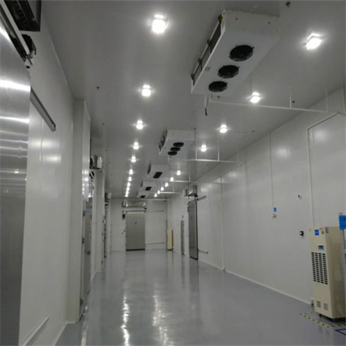 Haoshuang Refrigeration Installation 8000 cubic meters Fresh Storage Cost Food Cold Storage Cost