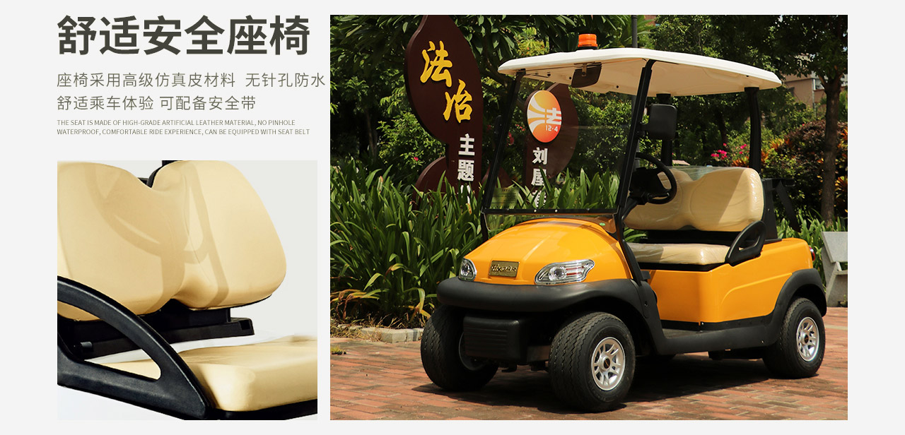 Donglang Electric New Energy 2 Golf Sightseeing Bus - Scenic Area Park Tour bus service - A1S2