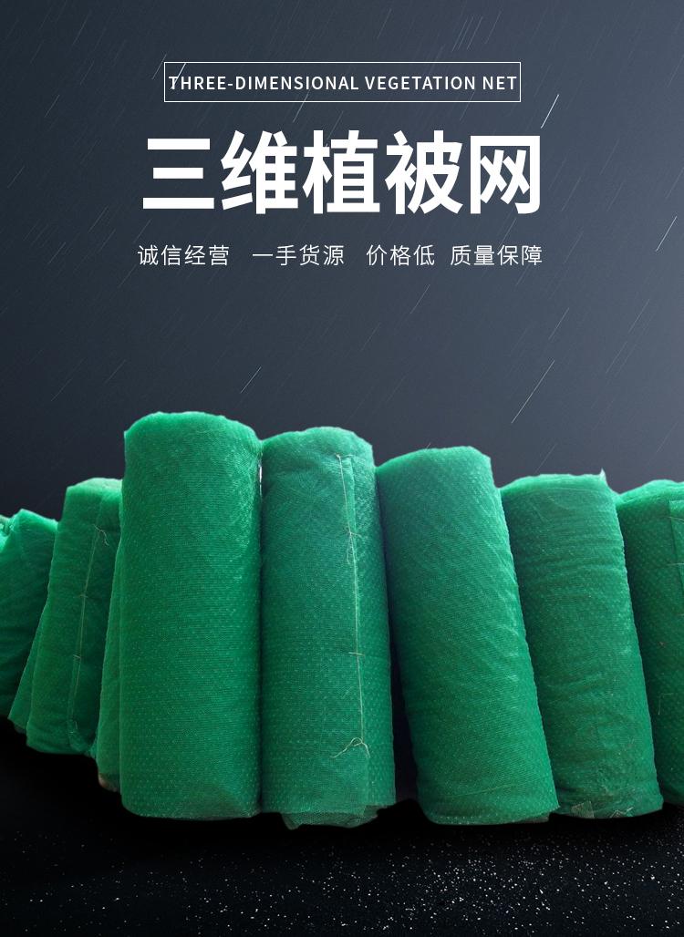 Slope greening protection vegetation net, grass planting net, geotextile net pad, three-dimensional slope protection net