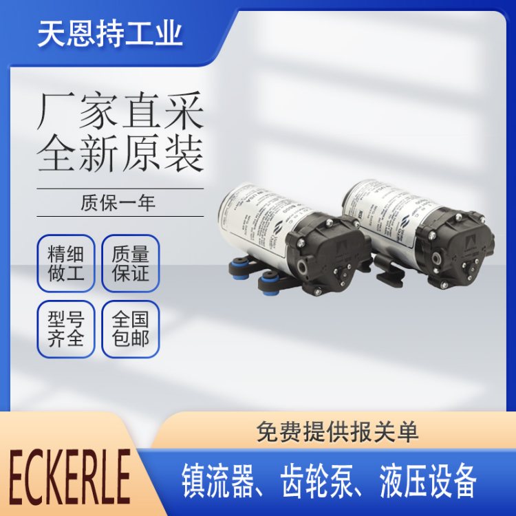德国 ECKERLE EVL12 3603 L7W 110 电子镇流器 齿轮泵 全新 厂家直采