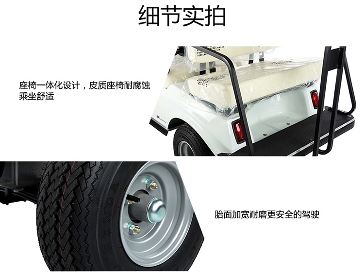 Golf cart electric 2-seater Golf cart with beautiful appearance and aluminum alloy chassis