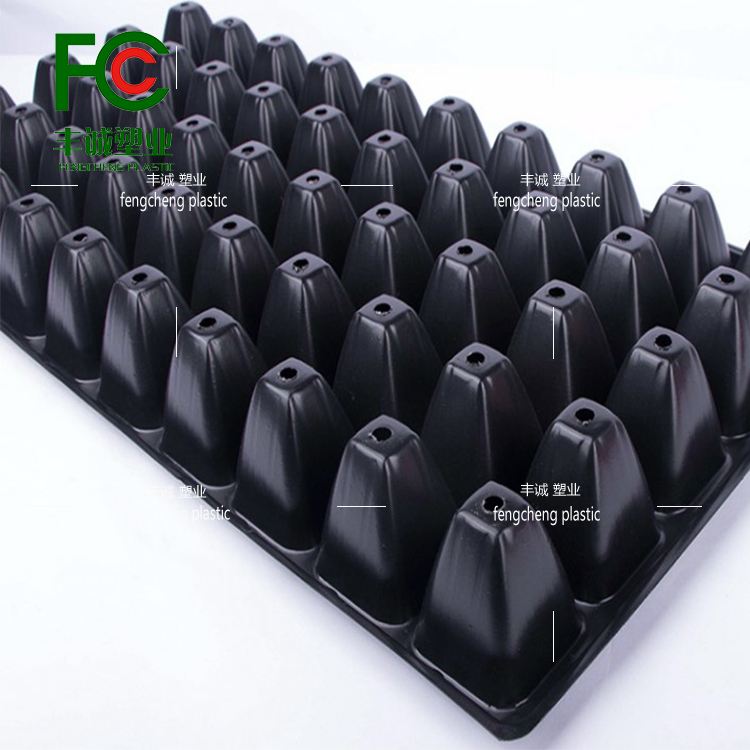 Brand new black seedling tray for flowers, succulent vegetables, melons, and fruits