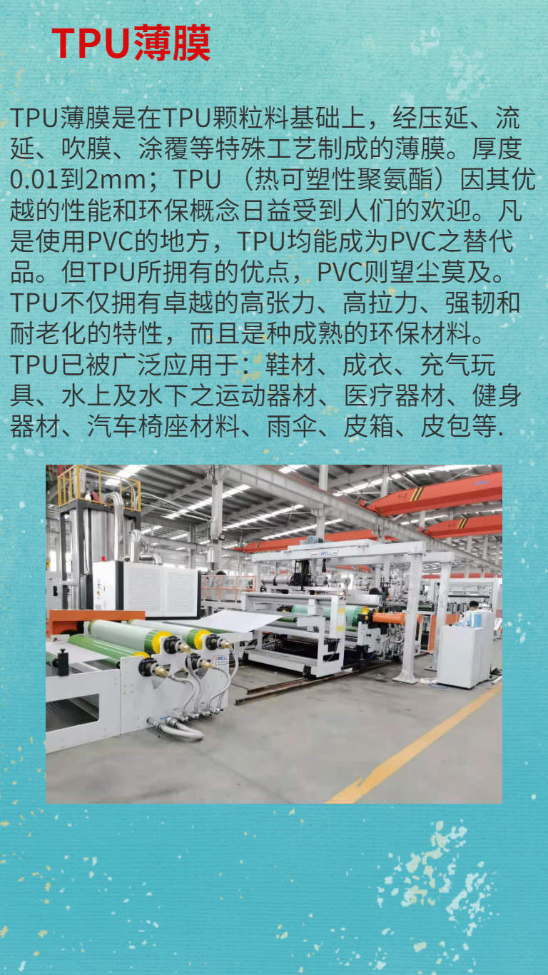 Jinwei Mechanical TPU Composite Casting Film Production Line TPU High Elasticity Film Equipment