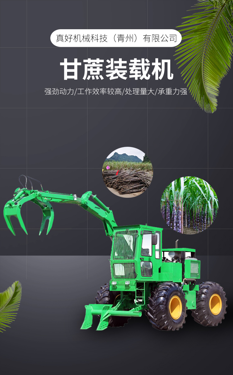 Sugarcane loader and sugarcane grabbing machine have high hydraulic walking efficiency and can be customized according to needs