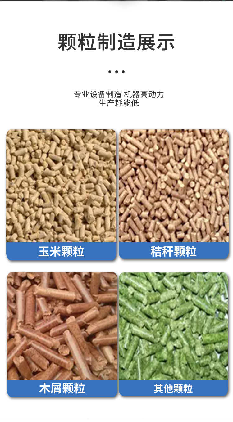 Shandong Granulator Zhangqiu Straw and Sawdust Granulation Equipment Fuel Feed Production Family Entrepreneurship Manufacturer Customization