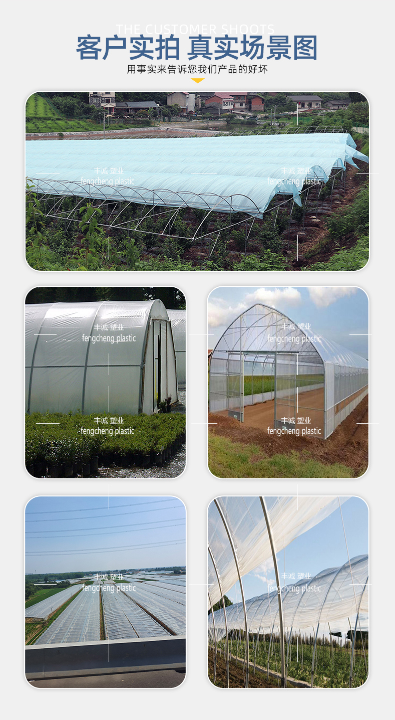 Production of PE white greenhouse film, transparent agricultural film, anti drip and anti fog light blue plastic film