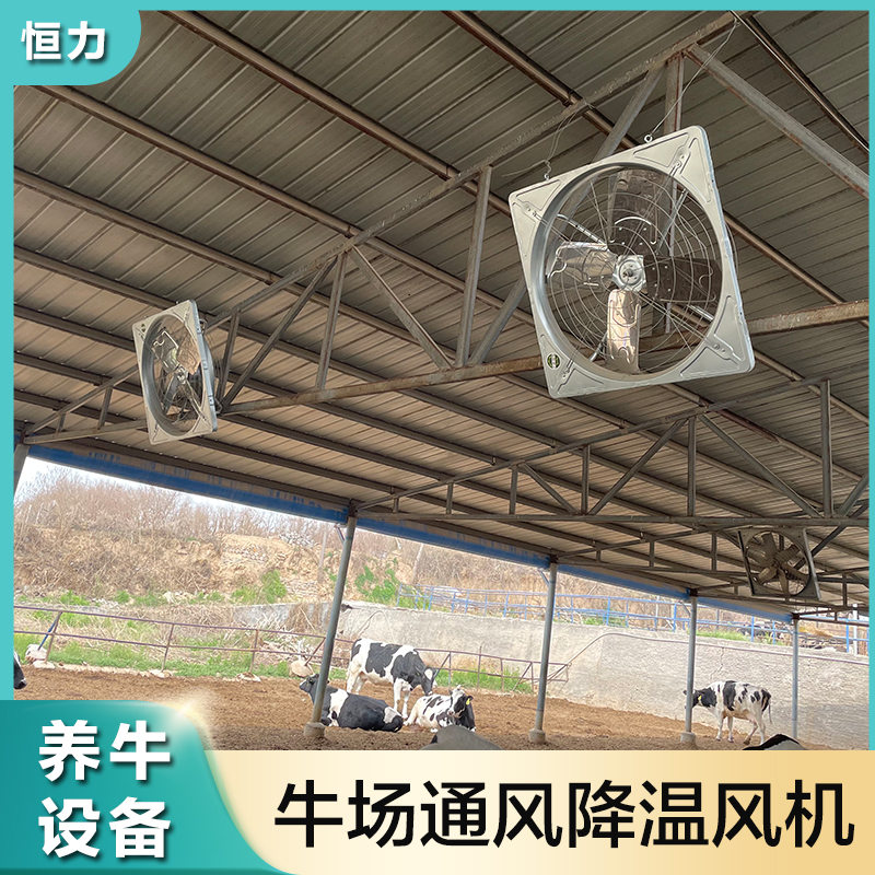 Ventilation and cooling equipment for Hengli Cattle Farm cowshed High air volume galvanized sheet with spray cowshed fan