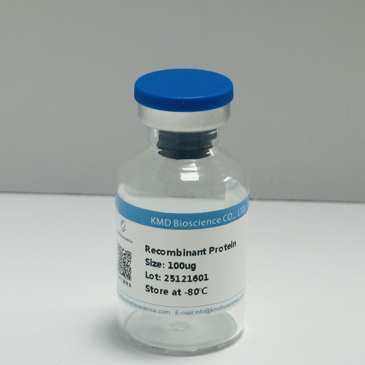 程序性死亡分子/Programmed cell death protein 1蛋白 免疫检查